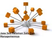 Jasa Seo Halaman Satu Dan Managemennya
